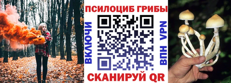 Галлюциногенные грибы мицелий  где найти   Тарко-Сале 