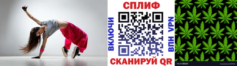 ссылка на мегу зеркало Тарко-Сале Бошки Шишки план